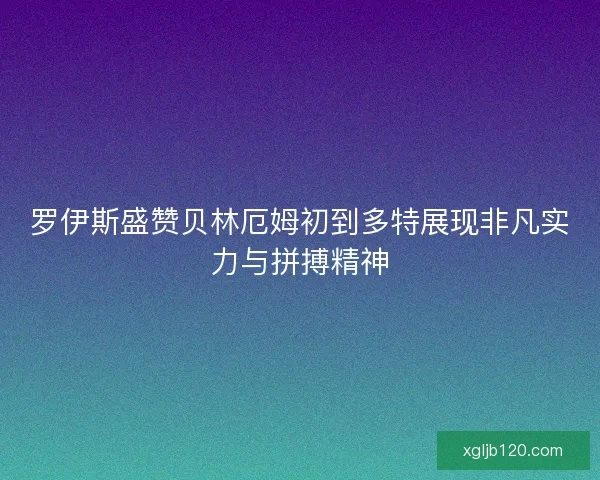 罗伊斯盛赞贝林厄姆初到多特展现非凡实力与拼搏精神
