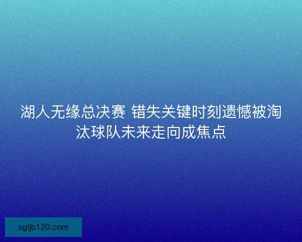 湖人无缘总决赛 错失关键时刻遗憾被淘汰球队未来走向成焦点