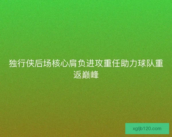 独行侠后场核心肩负进攻重任助力球队重返巅峰
