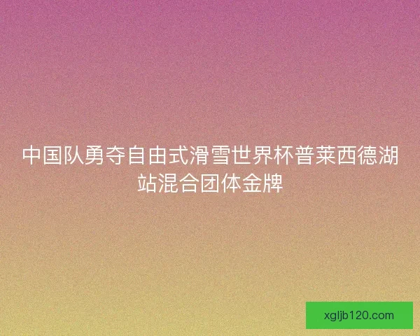 中国队勇夺自由式滑雪世界杯普莱西德湖站混合团体金牌