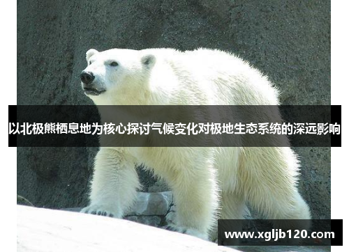 以北极熊栖息地为核心探讨气候变化对极地生态系统的深远影响